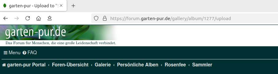 Bildschirmfoto vom 2024-12-02 21-35-24