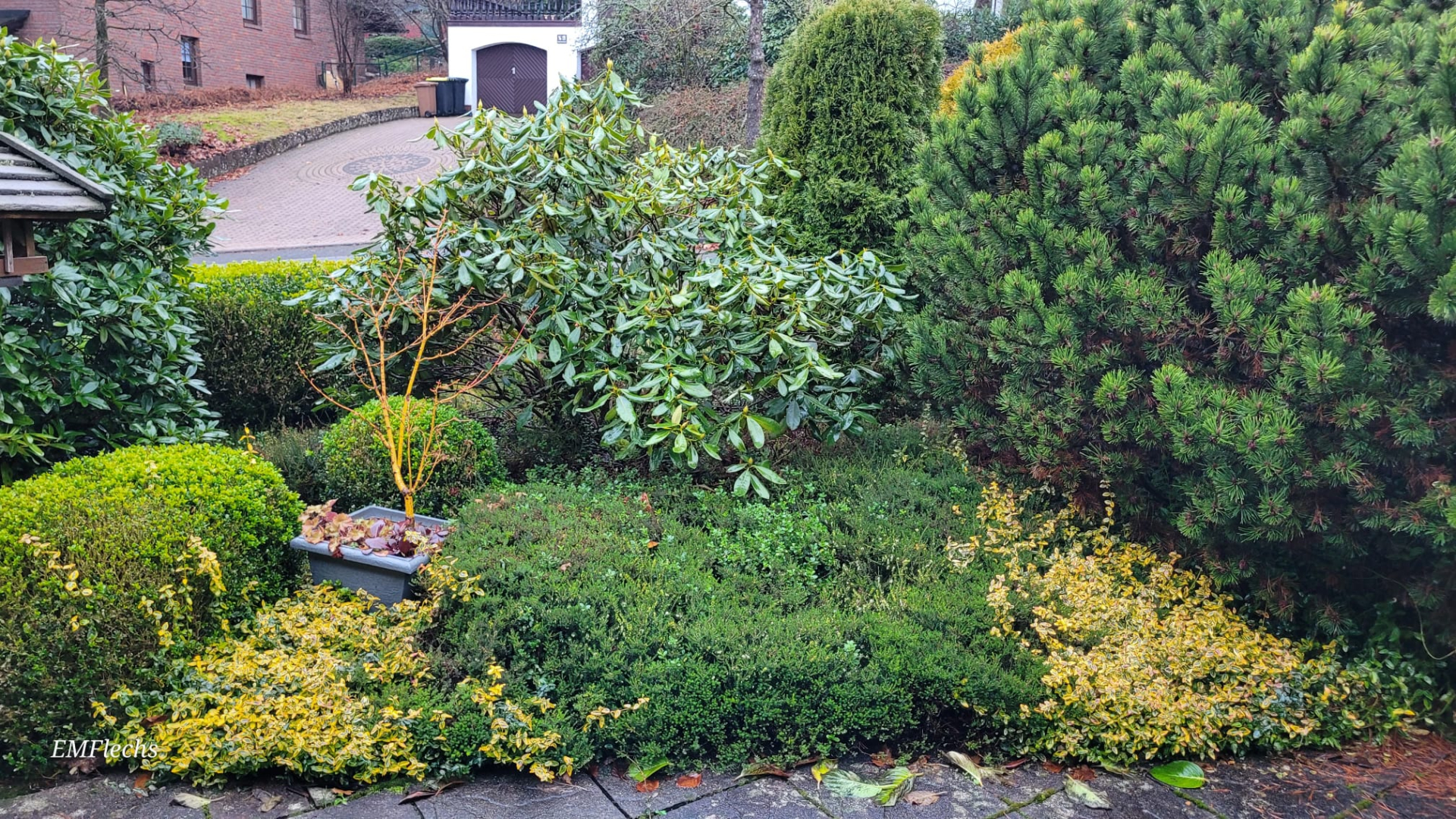 Rhodo Vorgarten klein