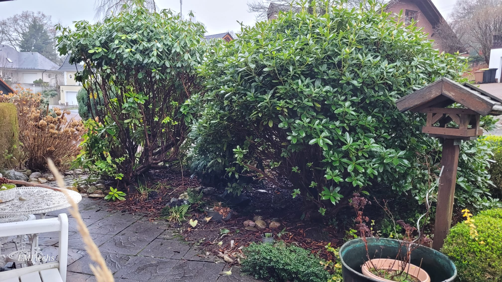 Rhodo Vorgarten