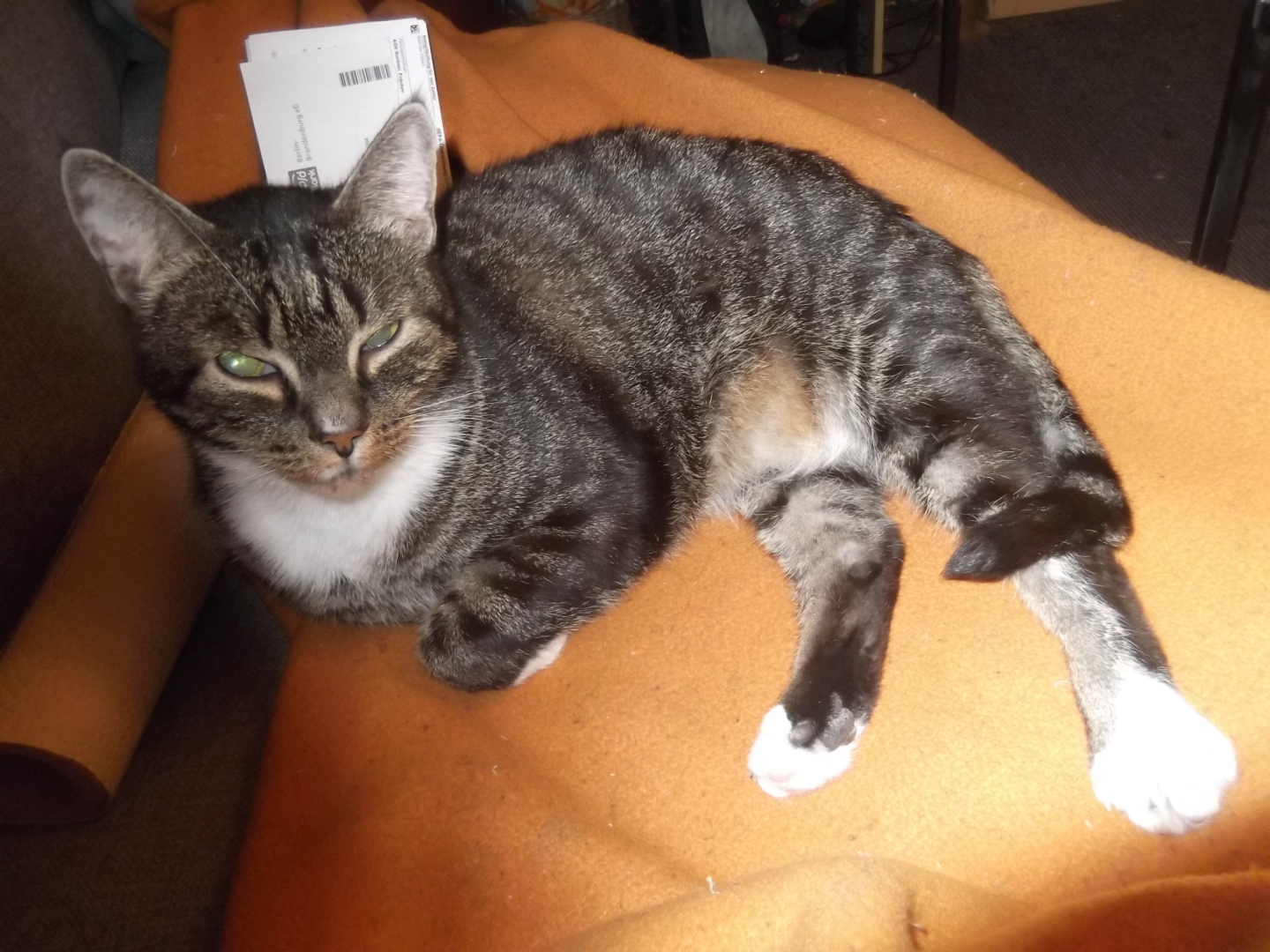 Tobi