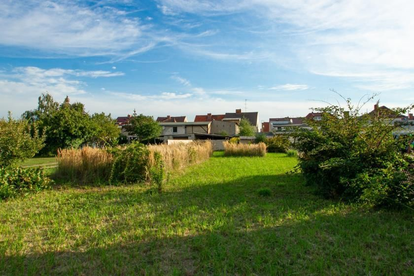 20230901_Garten von Süden