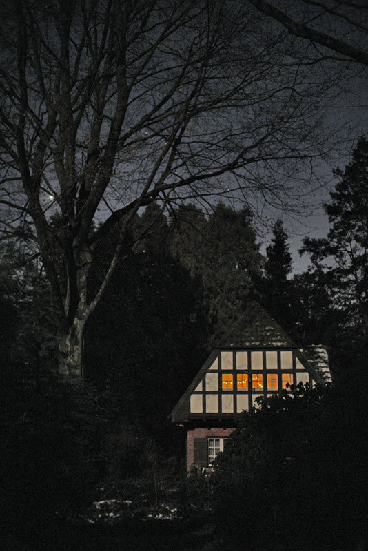 02_25_18_mondlicht