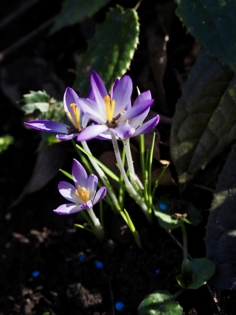 P3030167