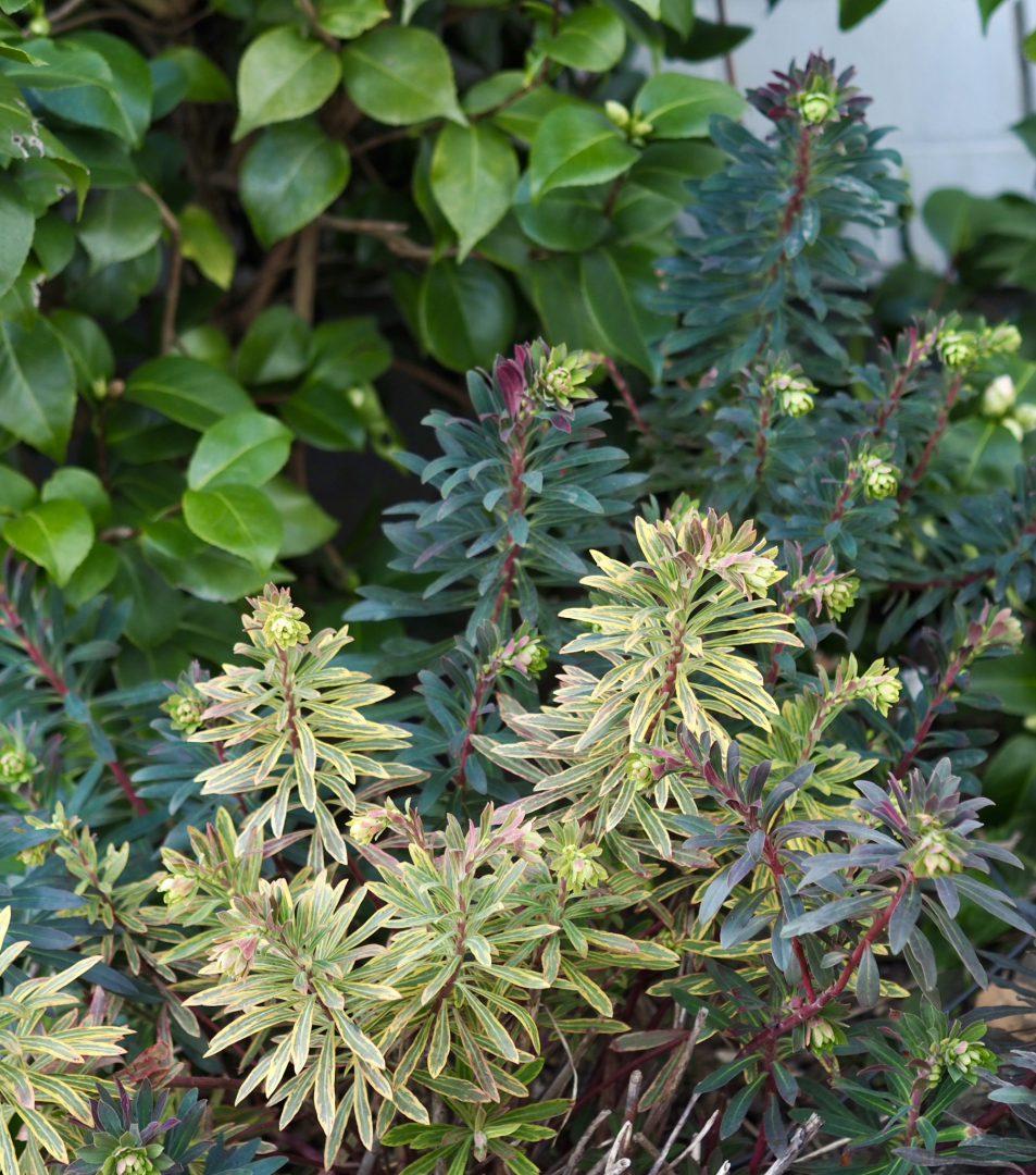 P3090298