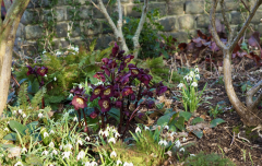 P3090281