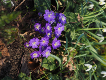 P3090267