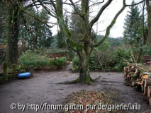Ansicht in den Garten vom Haus aus
