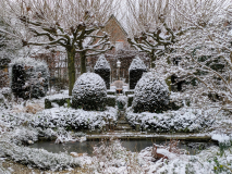 Anfang Januar 25