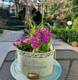 Terrasse im Winter