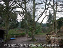 Nochmal Ansicht aus Richtung Haus - diesmal 