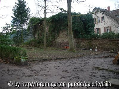 Sicht auf Gartenmauer und Scheuer aus dem Blickwinkel der Schuppen