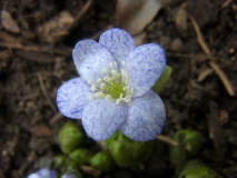 RIMG0029