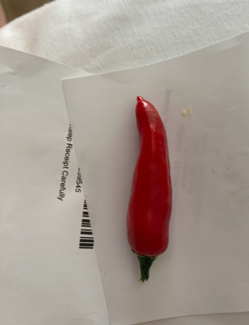 Chili aus Madeira