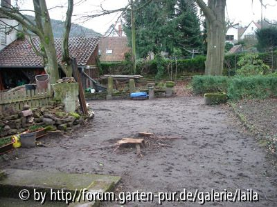 Ansicht auf Schuppen und Buche aus Perspektive des Törles