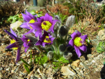 RIMG0068