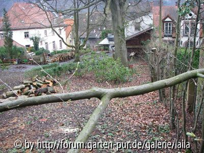 Blick vom Türmchen / der Mauer zu Schuppen / Anbau