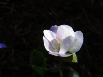 RIMG0007