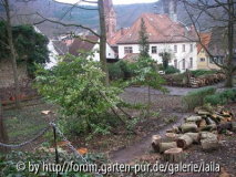 Vom Türmchen (ein echter Ausgugg ;-) hin zum Törle