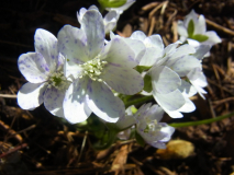RIMG0025-001