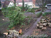 Einmal runter gesehen - so einfach mitten rein