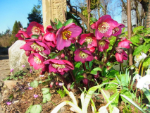 RIMG0047-001