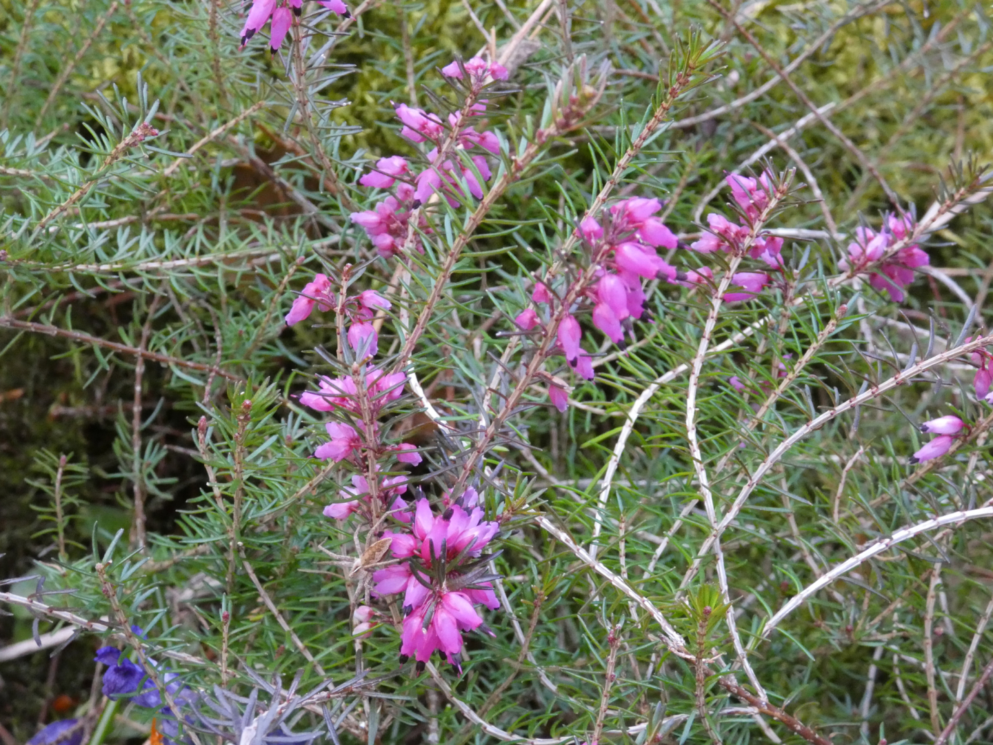 P1000192