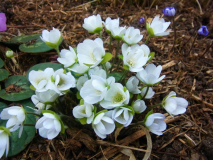 RIMG0092-001