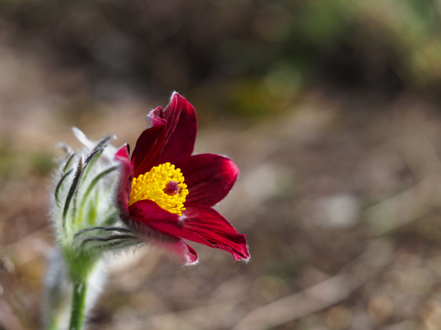 P3280017_1000px