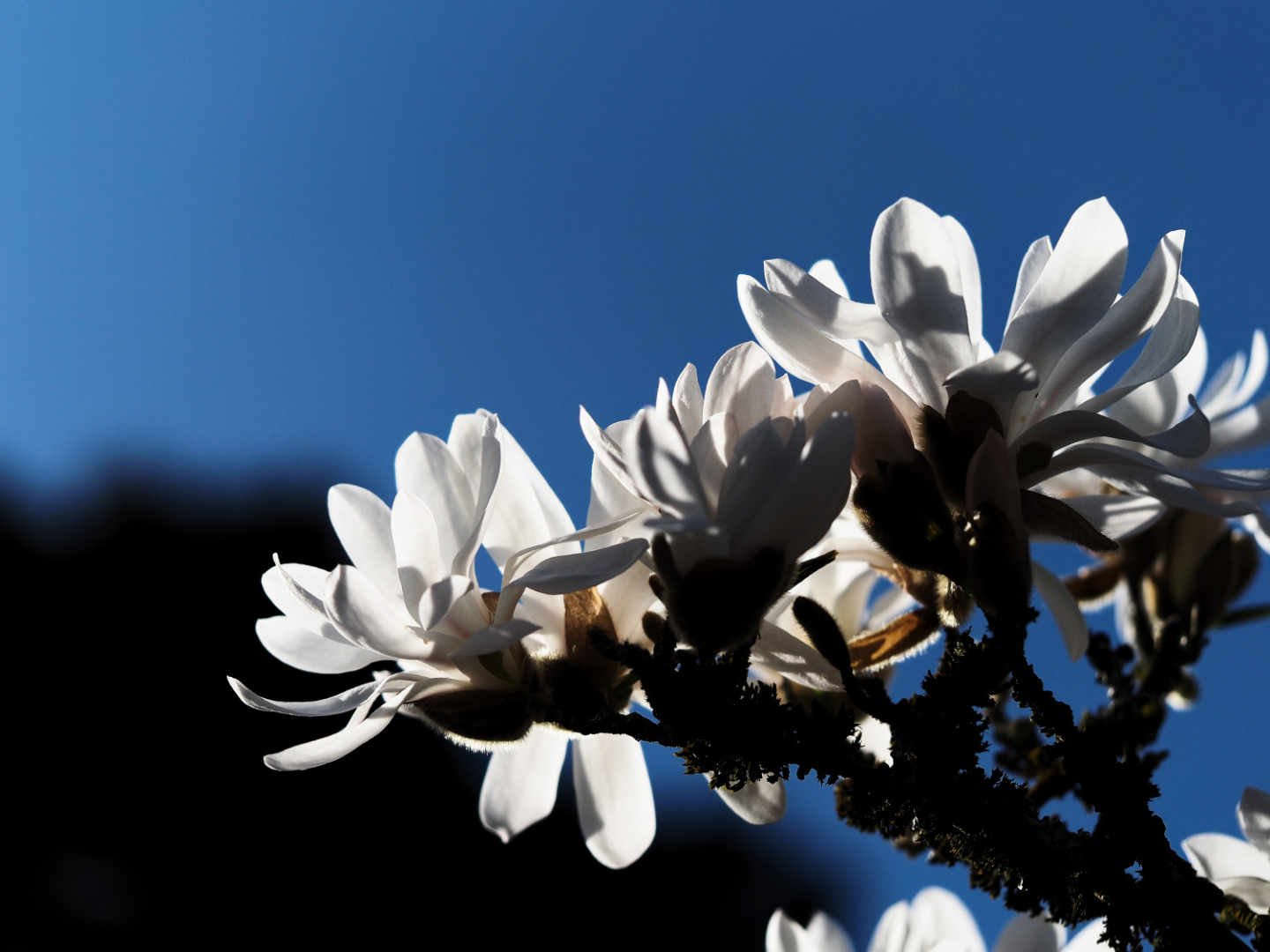 P3290020_1000px