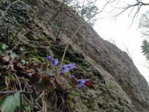 IMG_20250401_150945-001