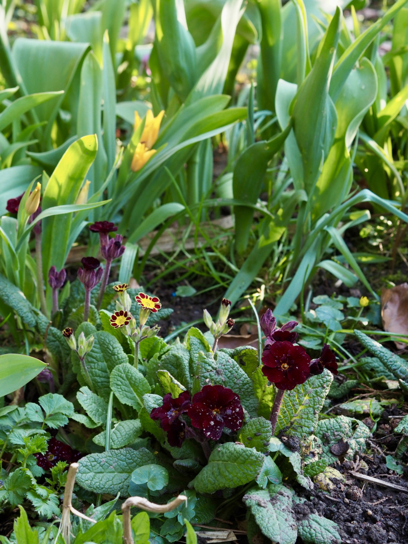 P4040573