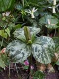 P4040565