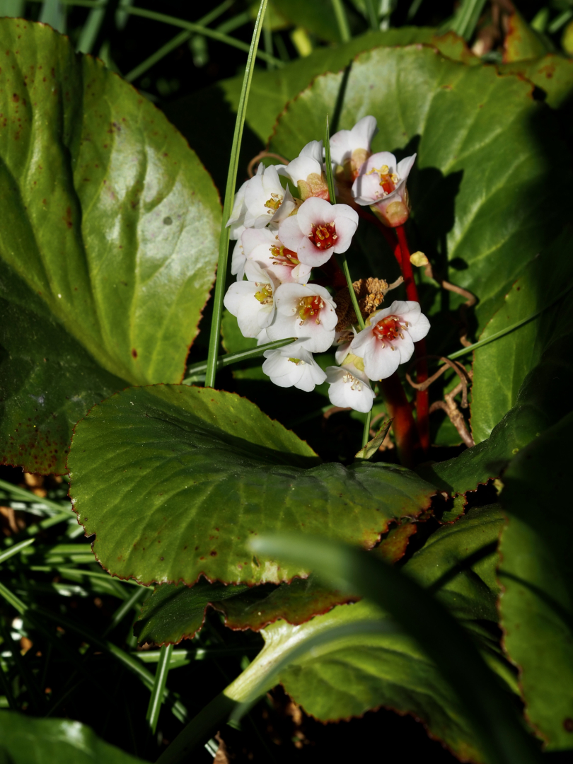 P4070655