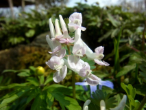 RIMG0098