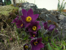 RIMG0032