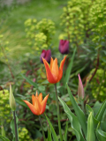 P4130831