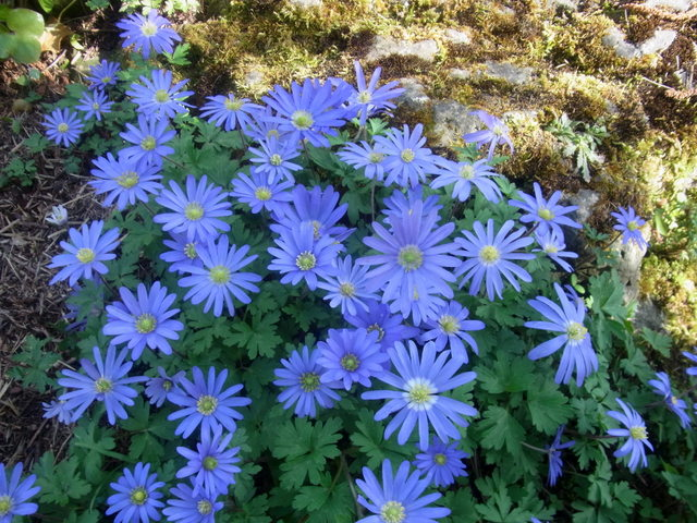 RIMG0013-001