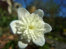 RIMG0032-001