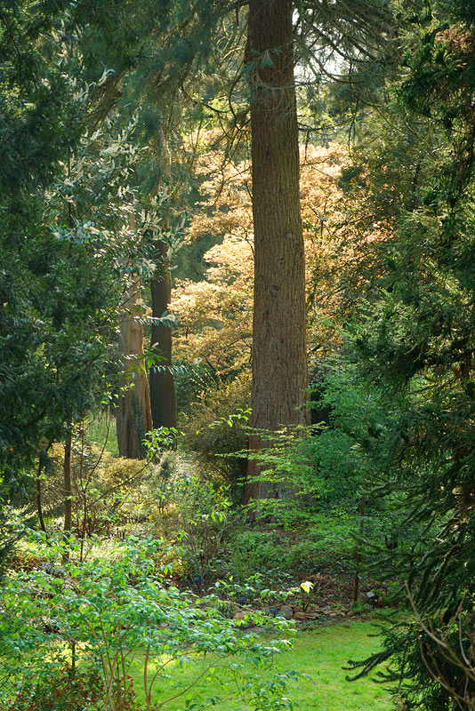 04_25_01_Durchblick