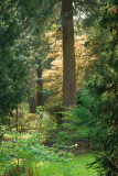04_25_01_Durchblick