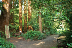04_25_02_RedwoodBank