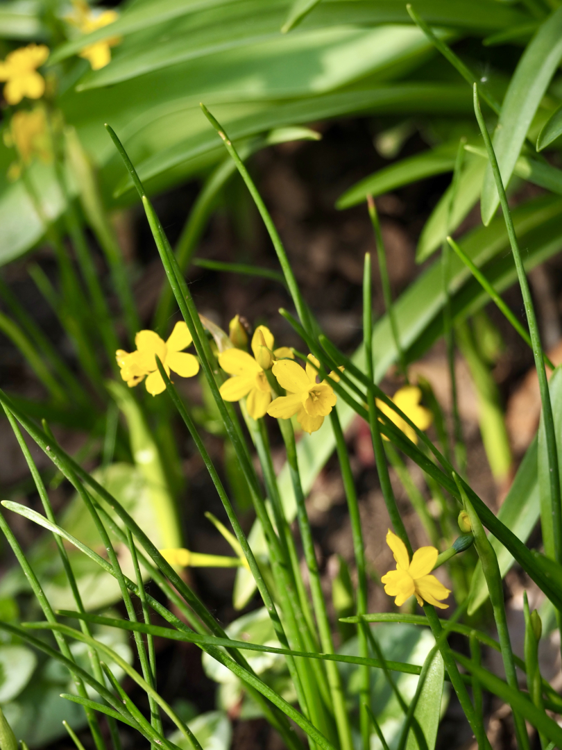 P4201008