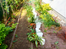P1000393