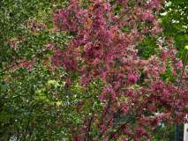 P4251087