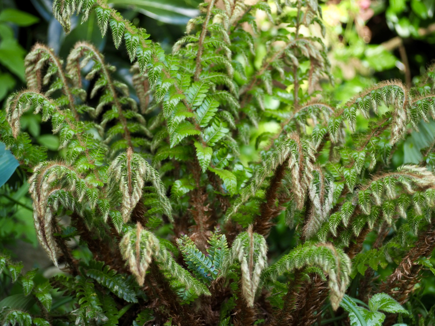 P5051175