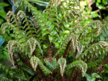 P5051175