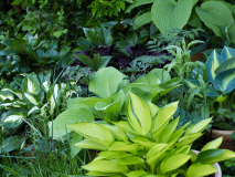 P5051215