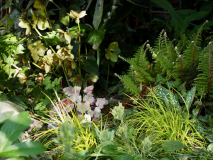 P5121263