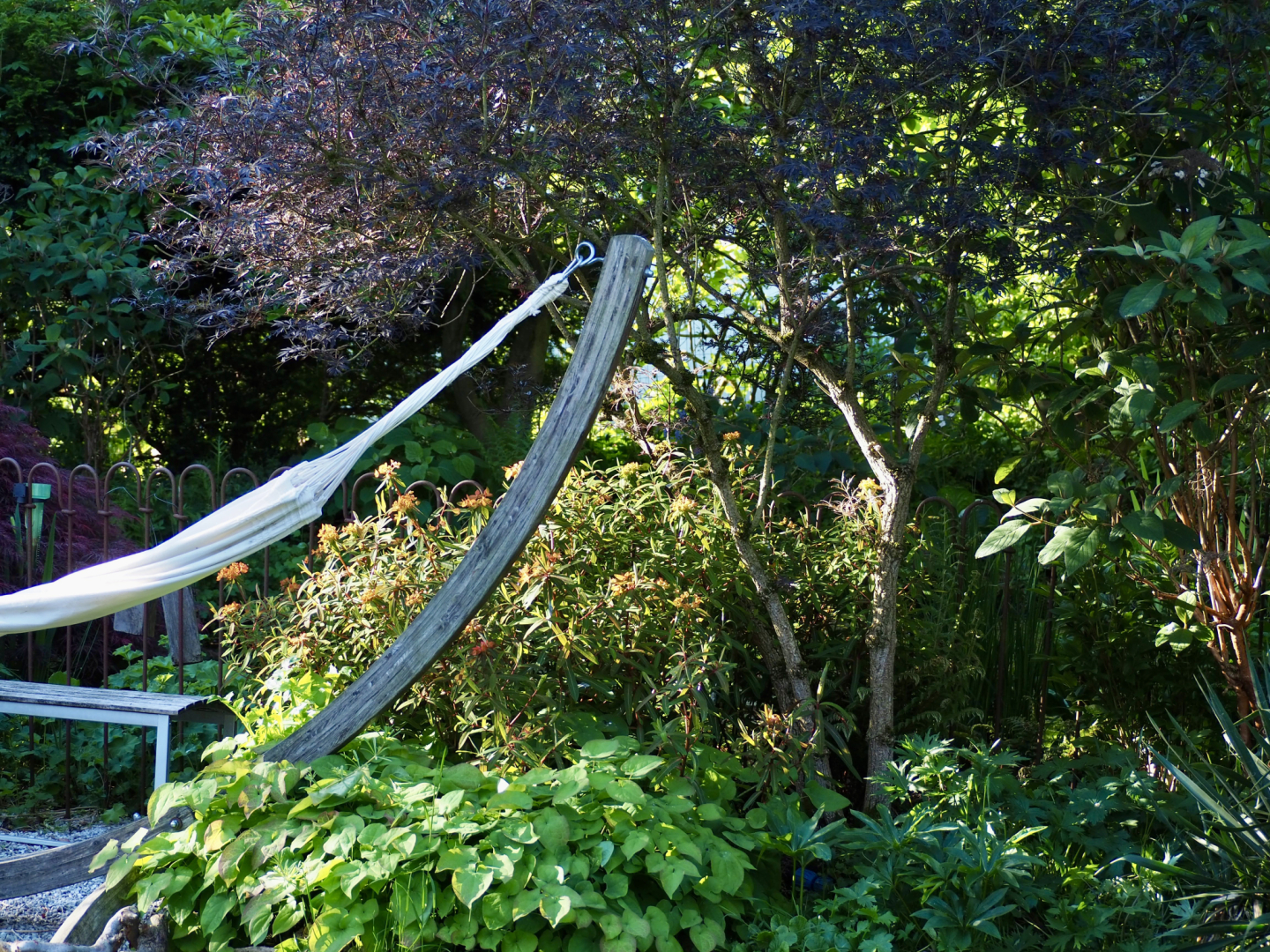 P5121298