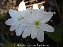 f-DSC02828.jpg
